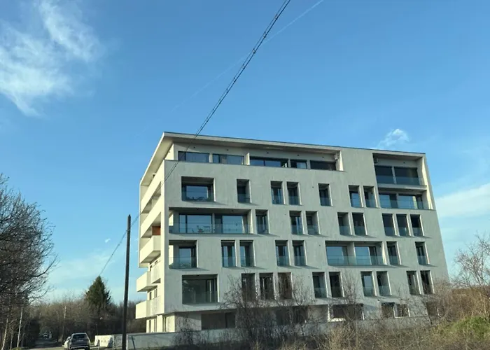 Apartment Fairy Forest